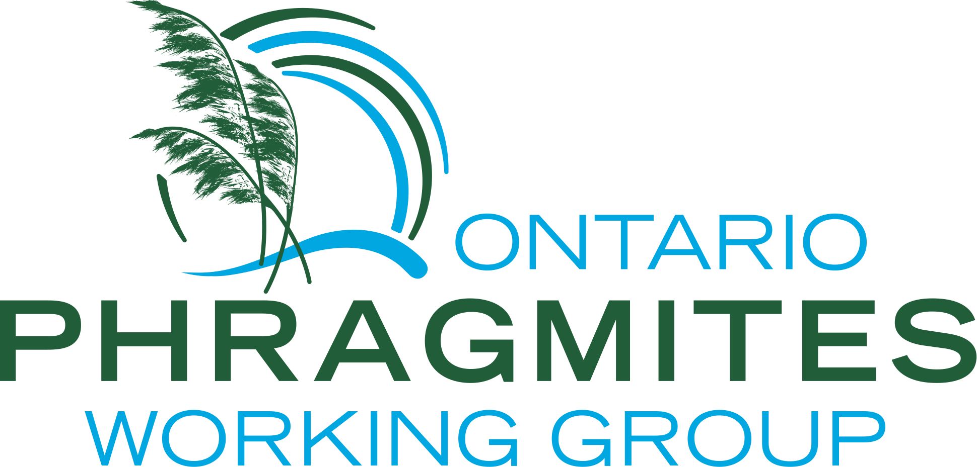 Ontario Phragmites Working Group logo