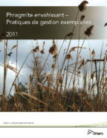 Invasive Phragmites BMP 2011 – French